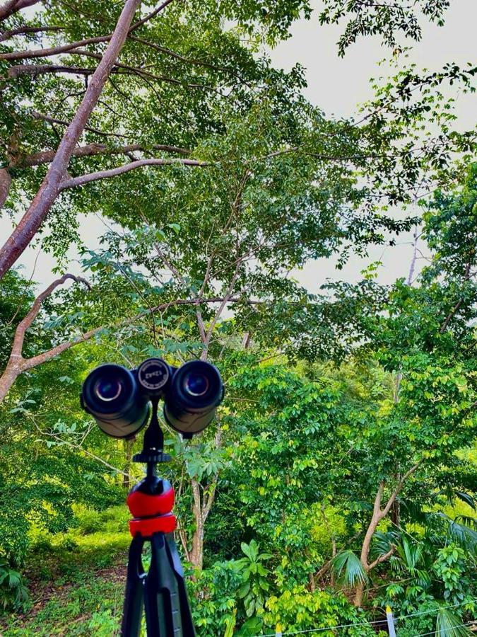 Casa De Vacaciones Ecowasi Veras Capurganá エクステリア 写真